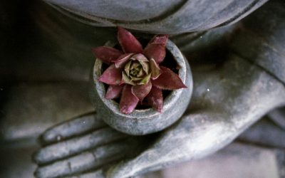 Meditar con barro: una experiencia que te ayuda a fluir.